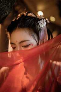 朱门绣户_红烧肉